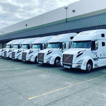 Fleet of white Volvo tractor-trailers lined up